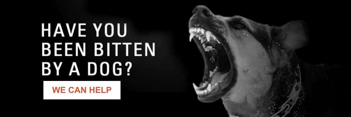 knoxville dog bite attorney animal attack lawyer